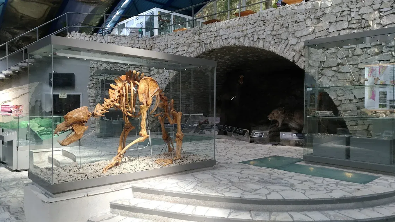 Jaskinia Niedźwiedzia